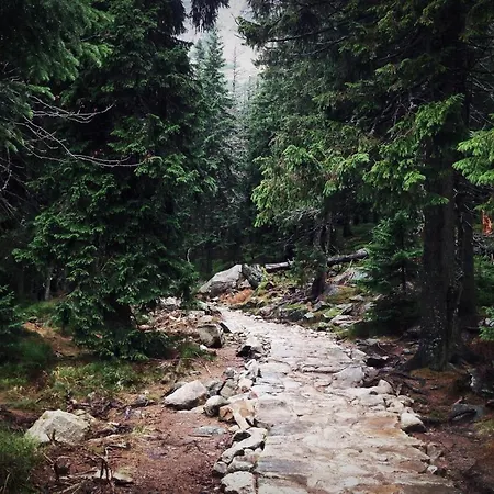 Przy Stoku Pod Papugami Karpatia Appartamento Karpacz