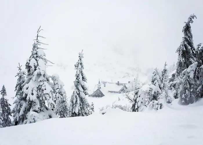 Appartamento Przy Stoku Pod Papugami Karpatia