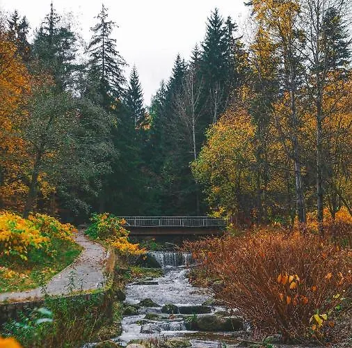 Appartamento Przy Stoku Pod Papugami Karpatia