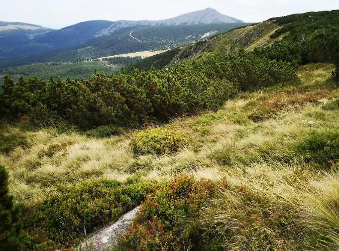 Przy Stoku Pod Papugami Karpatia