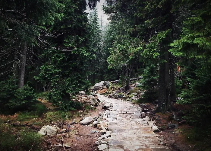 Przy Stoku Pod Papugami Karpatia Appartamento Karpacz