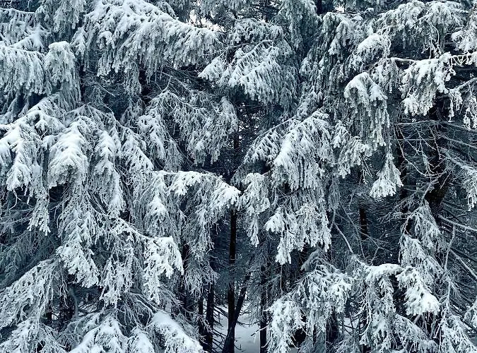 Apartment Przy Stoku Pod Papugami Karpatia Karpacz