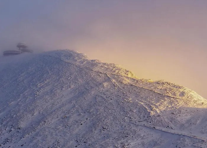 Przy Stoku Pod Papugami Karpatia Apartment *